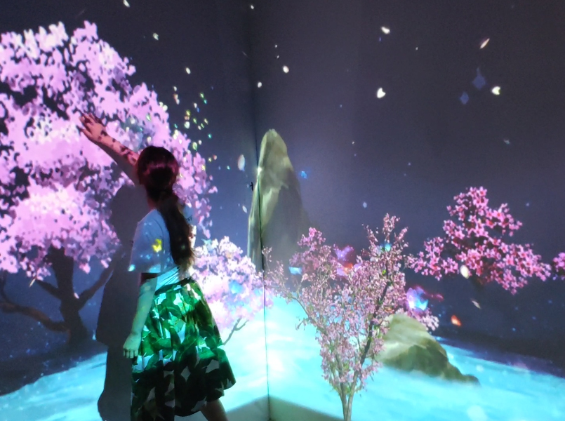 互動(dòng)花海
